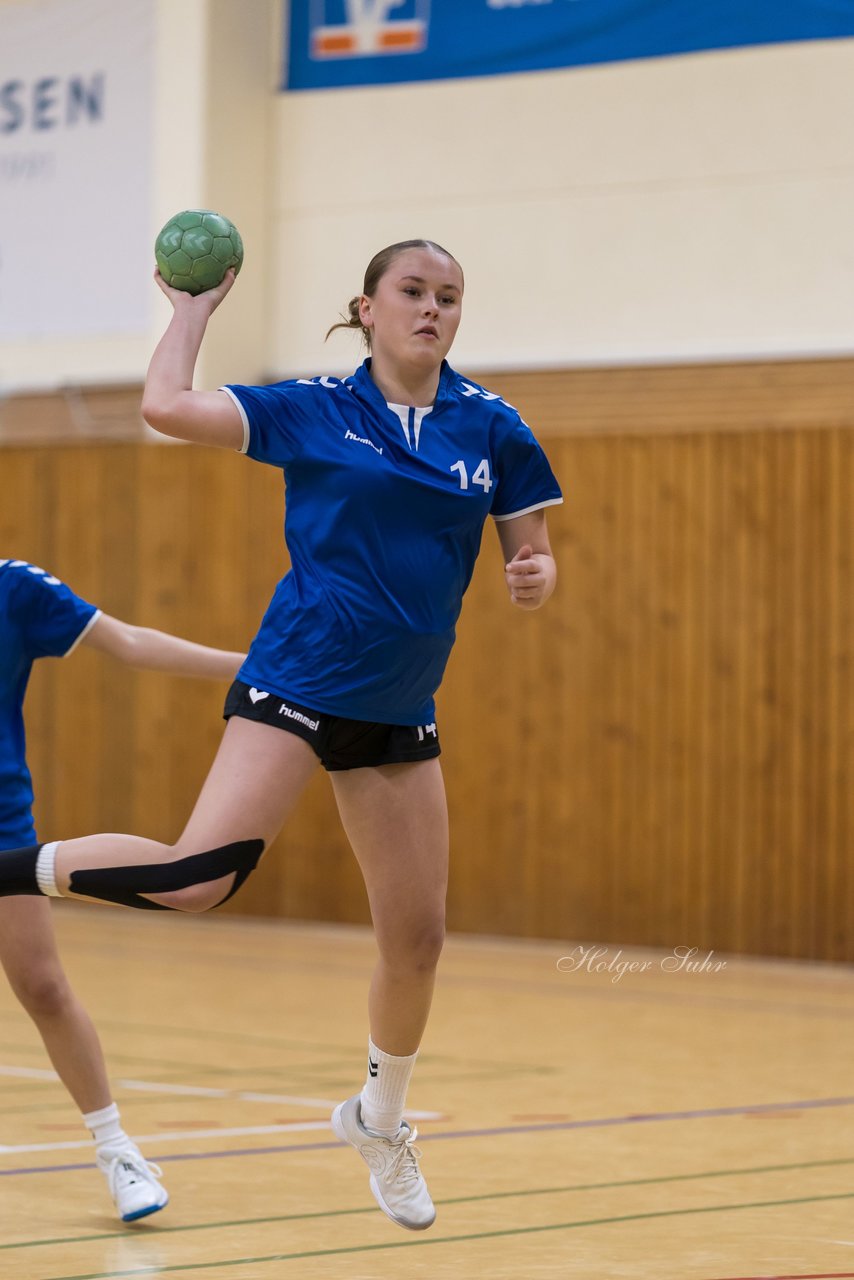 Bild 153 - wCJ TSV Ellerau - SG Pahlhude/Tellingstedt : Ergebnis: 21:18